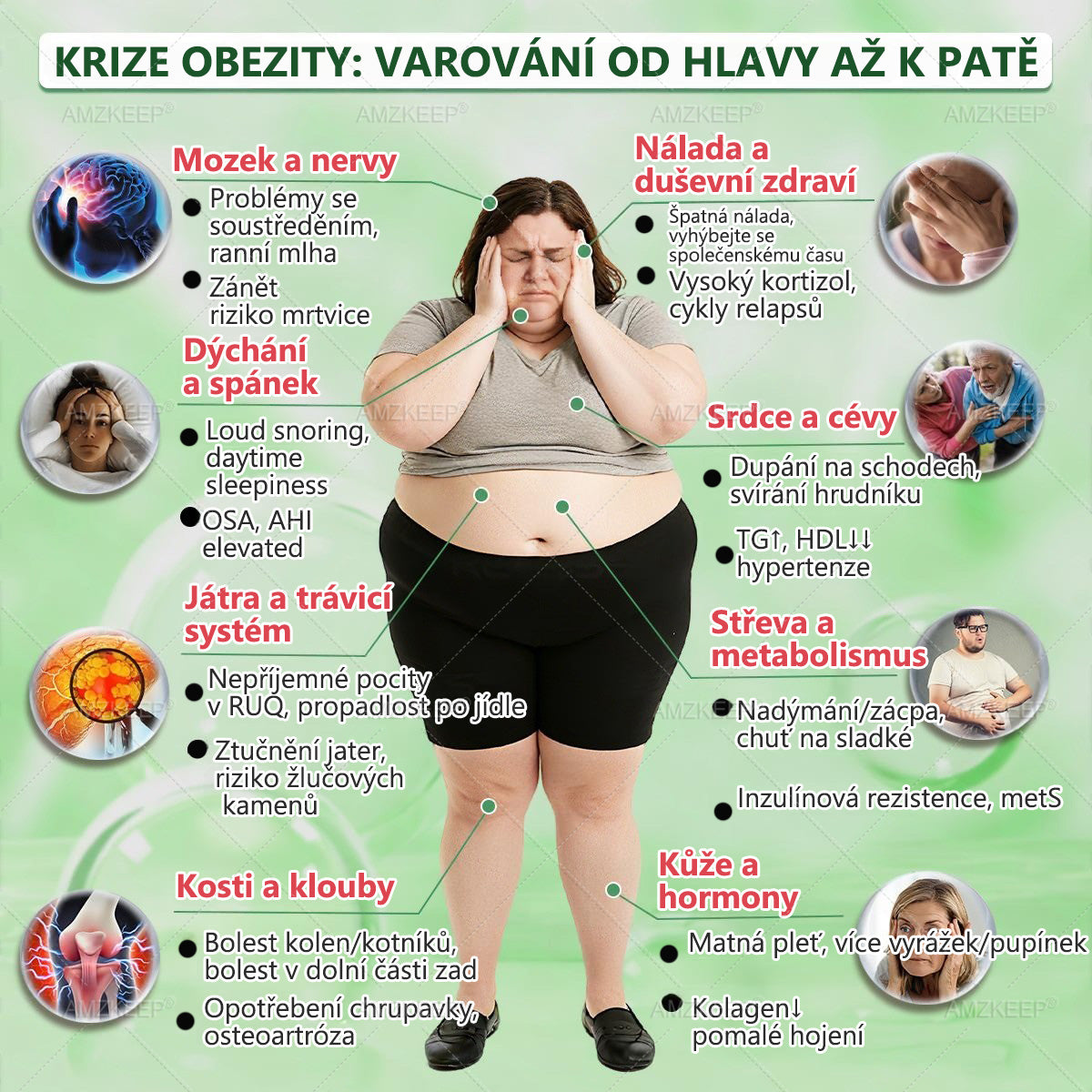 🇨🇿Lékařem formulovaný AMZKEEP® Moringa Berberin × NAD+ 10-in-1 Pokročilá Nano Mikroneedle Náplast (Zažijte viditelné výsledky již za 7 dní)